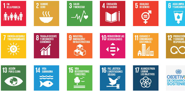 Lee más sobre el artículo ¿Que son los Objetivos de Desarrollo Sostenible de ONU?