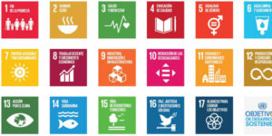 Lee más sobre el artículo ¿Que son los Objetivos de Desarrollo Sostenible de ONU?
